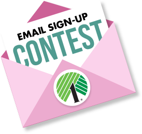 email sign-up contest