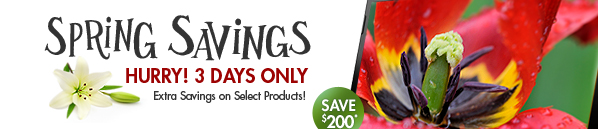 SEE THE GREAT DEALS WAITING FOR YOU AT HP HOME & HOME OFFICE STORE!