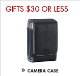 HP Photosmart Slim Camera Case