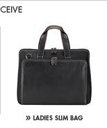 SEE THE HP LADIES' SLIM BAG: Tote your notebook PC and other essentials in style with this bag. Designed expressly for professionals on the go, this lightweight, slim and sleek case holds everything you need.