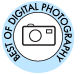 Digital Photography