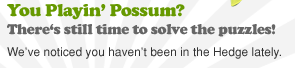 You Playin' Possum?  There's still time to solve the puzzles!
