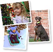 Your Photos Online with Snapfish