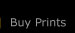 Buy Prints