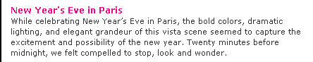 New YearÂ's Eve in Paris