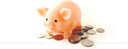 Piggy Bank Image