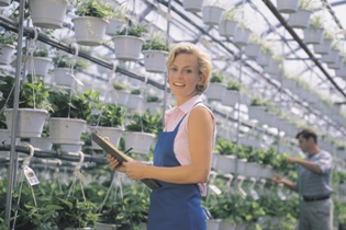 Small Business Owner